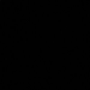 Meet your Posher, Leorah